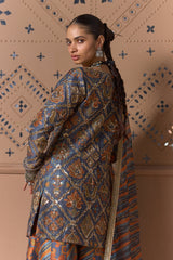 Neel Katha Sharara Set