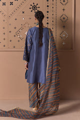 Neel Jaal Suit Set