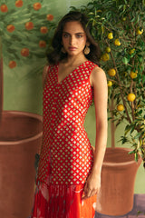 Crimson Garden Skirt Set